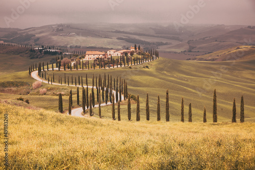 beautiful summer landscape with cypress trees and rolling hills