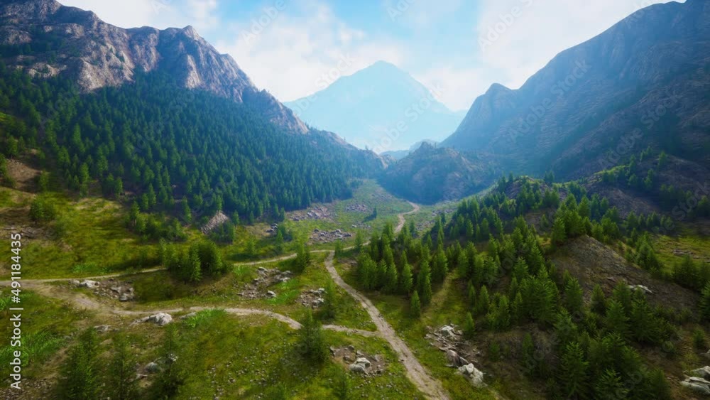 Aerial view of green coniferous forest in the mountains Aerial view of green coniferous forest in the mountains