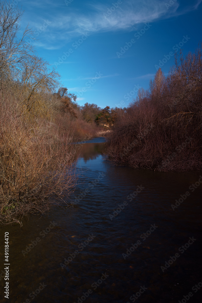 krajobraz rzeka widok drzewa natura rośliny krajobraz rzeka widok drzewa natura rośliny