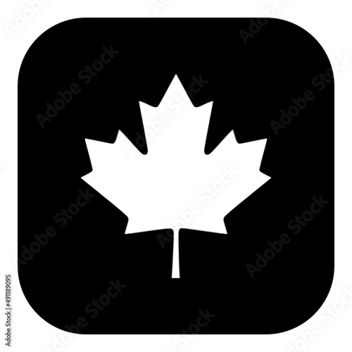 Ahornblatt und App Icon