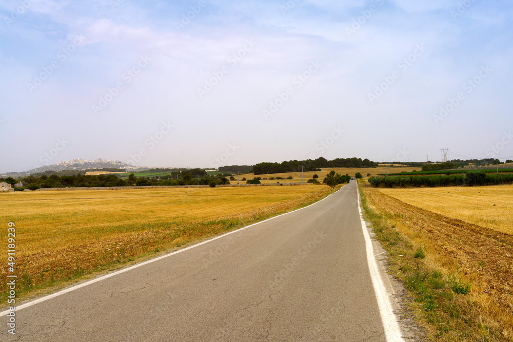Country landscape near Massafra and Mottola, in Taranto province, Apulia