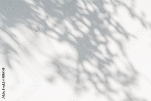 Shadow and sunshine of leaves reflection. Jungle gray darkness leaf shade and lighting on concrete wall for wallpaper, shadows overlay effect