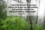 Bible verse quote - Trust in the Lord with all your heart and lean not on your own understanding, in all your ways submit to him and he will make your path straight. Proverbs 3:5-6 With nature forest.