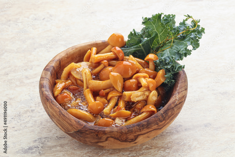 Wild pickled honey mushroom in the bowl Wild pickled honey mushroom in the bowl