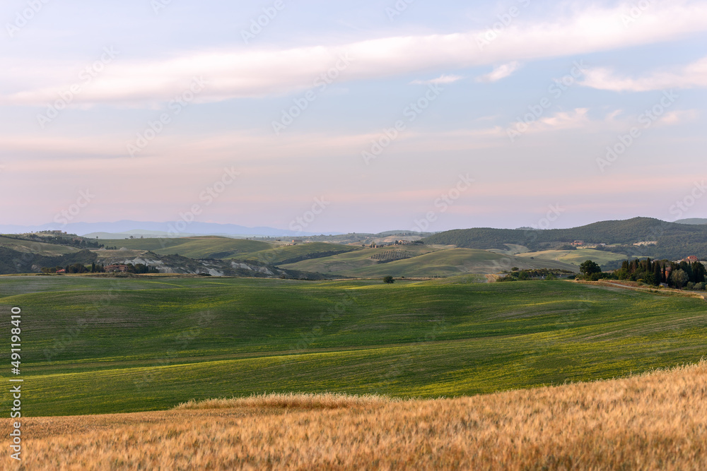 Tuscan countryside landscape with contrasting colors of yellow and green meadows. Val d'Orcia, Italy