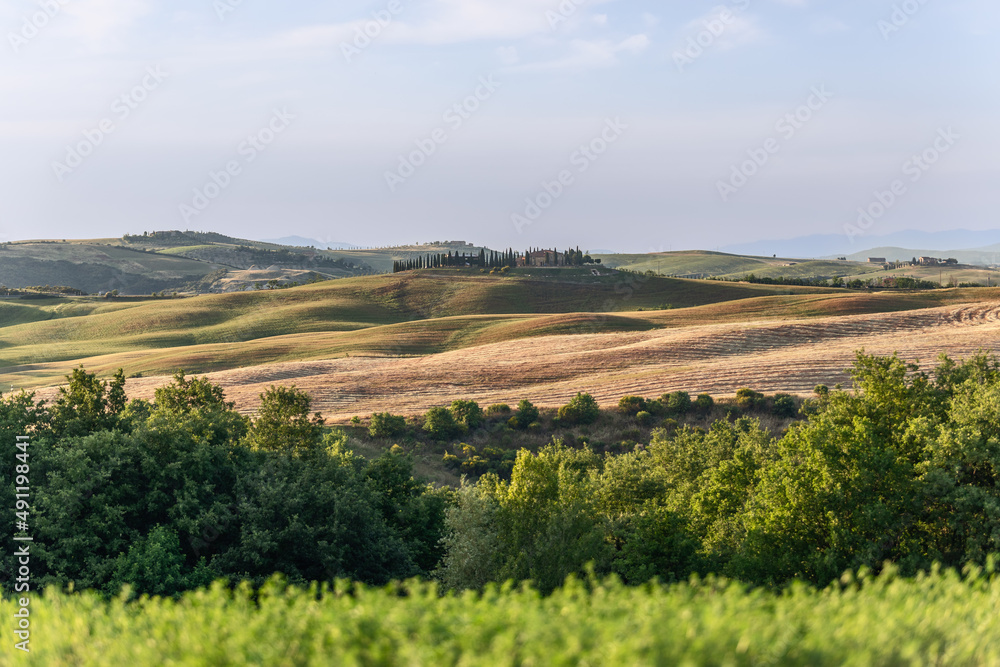 Fototapeta premium Wavy yellow and green processed fields of the Tuscan province and a farm surrounded by a ring of tall slender cypresses