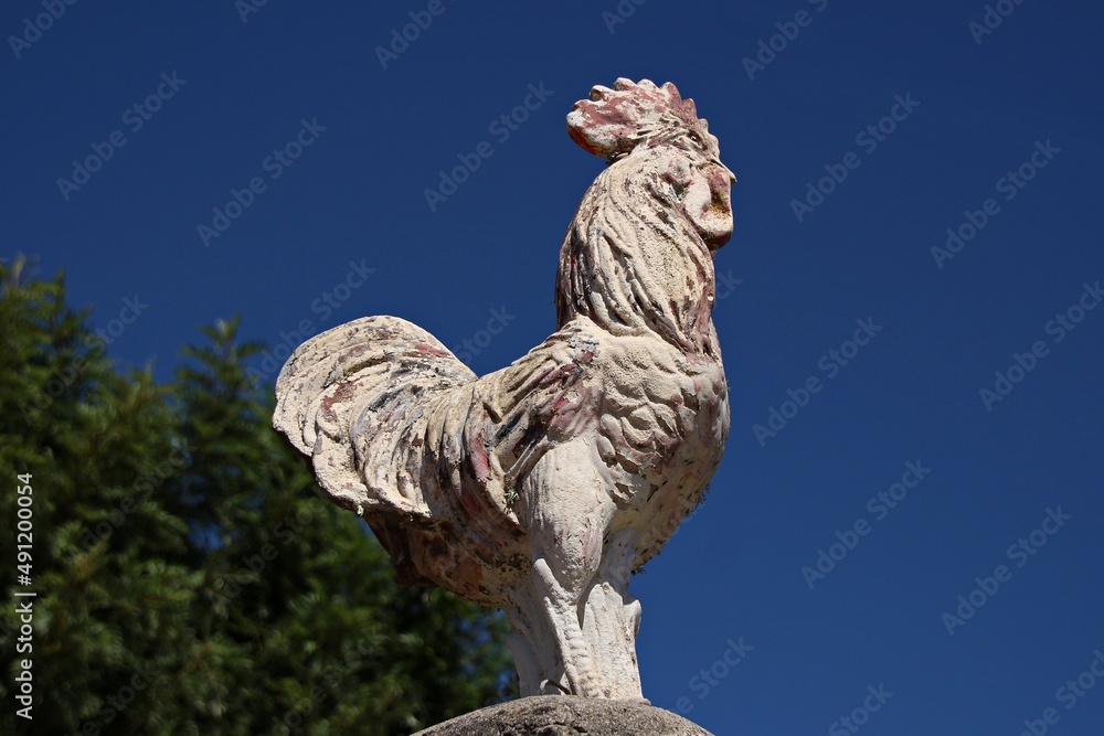 Fototapeta premium Italy, Lecce: Stone statue depicting the rooster, the symbol of Salento.