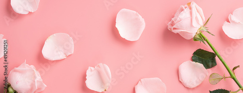 Mother's Day design concept background with pink rose flower on pink background.