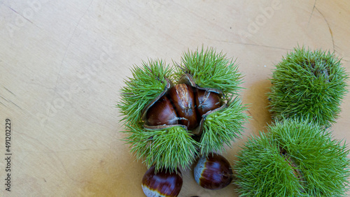 ripe chestnuts