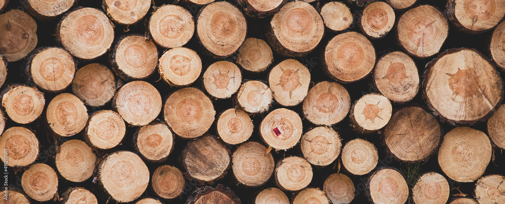 Wooden background, texture. Banner. Wood logs close up. Wooden background, texture. Banner. Wood logs close up.