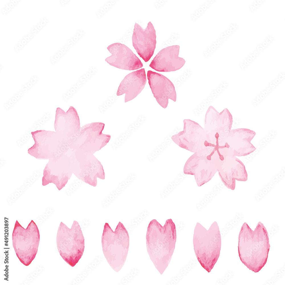 桜　花びら　花弁　水彩　水彩絵具　水彩画　シンプル　アイコン　手書き　アナログ　白背景　ベクター