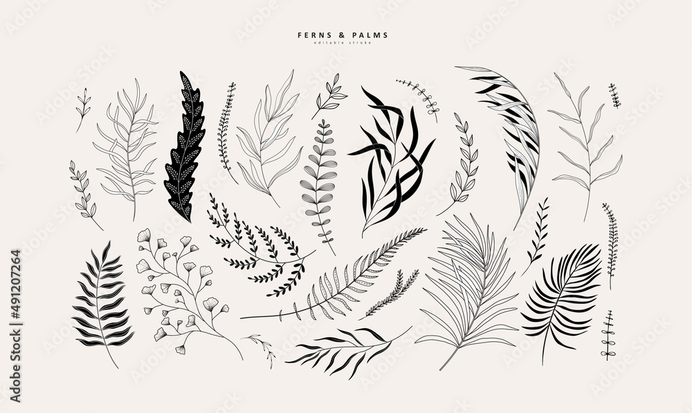 Floral tropical branch of fern and palm in silhouette and line style. Hand drawn elegant exotic leaves for invitation save the date card design. Botanical trendy greenery - obrazy, fototapety, plakaty 