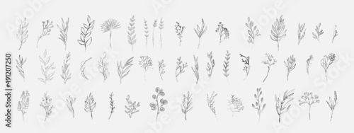 Chalk or ink Floral branch and minimalist flowers for logo. Hand drawn line wedding herb, elegant leaves for invitation. Botanical rustic trendy greenery