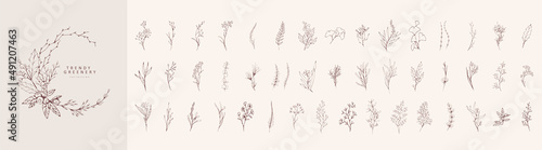 Trendy floral branch and minimalist flowers for logo or decorations. Hand drawn line wedding herb, elegant leaves for invitation save the date card. Botanical rustic trendy greenery