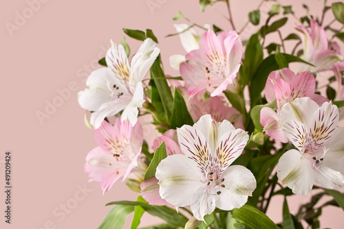 delicate spring flowers on a pink background