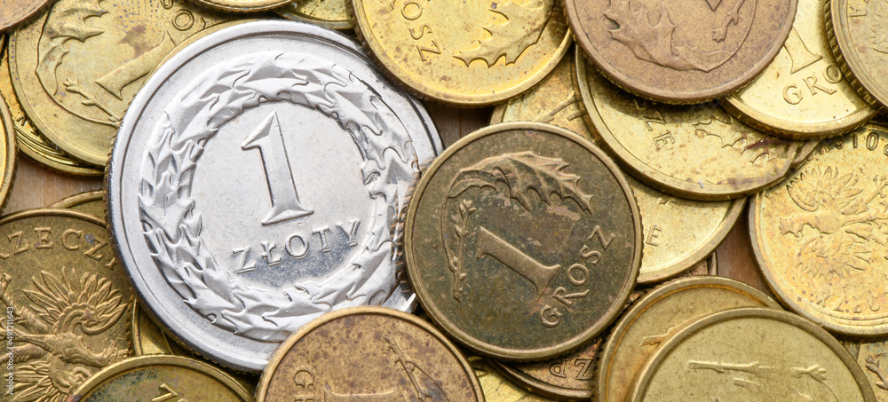 Coin 1 zloty. Polish currency with zloty coins Coin 1 zloty. Polish currency with zloty coins