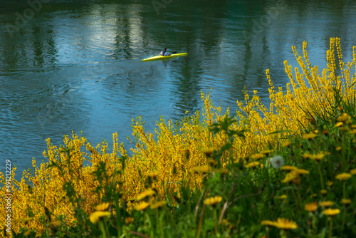 canottaggio sul fiume in primavera