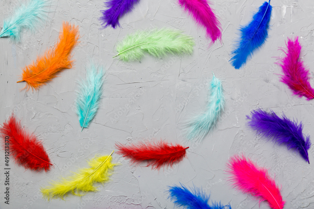 Frame of brightly colored dyed bird feathers on Colored background, top view Frame of brightly colored dyed bird feathers on Colored background, top view