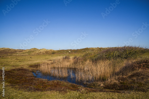 Callantsoog, Netherlands, February 2022. The dune landscape of nature reserve Zwanenwater in Callantsoog.