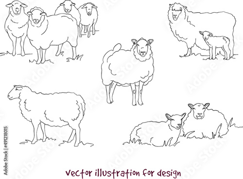 illustration of sheep and lambs. Vector silhouette set 