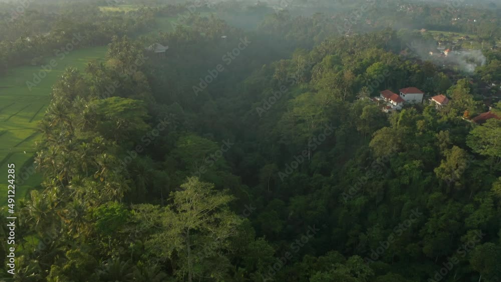 Tropical green jungle valley in Bali with light mist, aerial Tropical green jungle valley in Bali with light mist, aerial