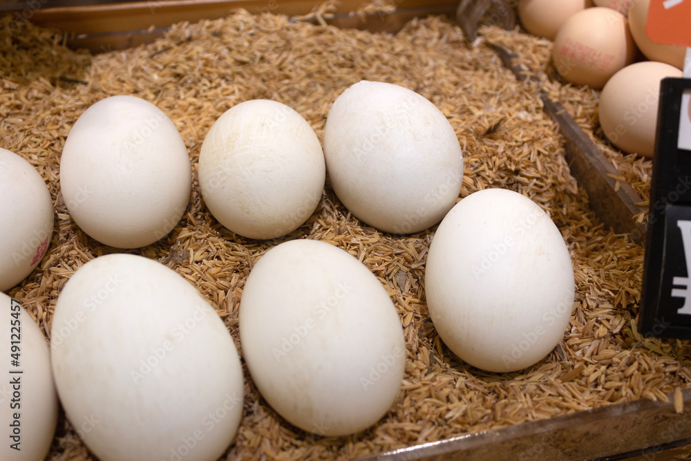 Goose eggs to be sold on supermarket containers Goose eggs to be sold on supermarket containers