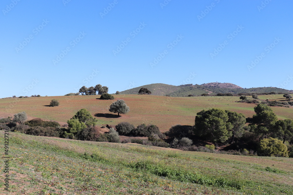 Obraz premium Nature