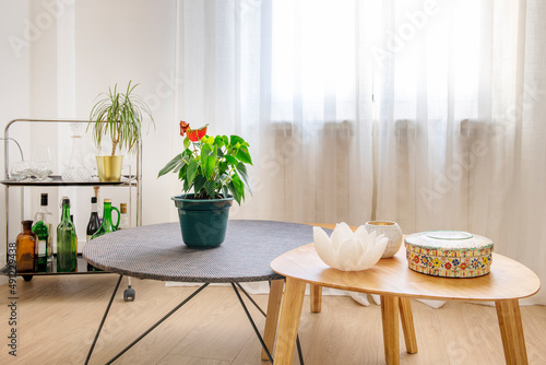 Decorative coffee tables and drinks cart in a living room with windows and white curtains