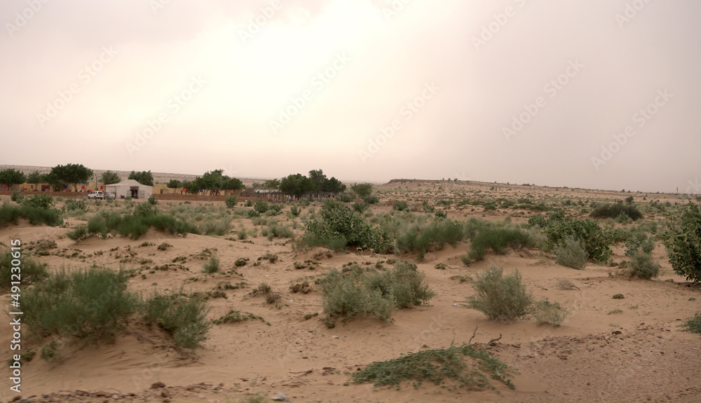 Fototapeta premium Thar desert of India, Jaisalmer Rajasthan, with beautiful sand dunes