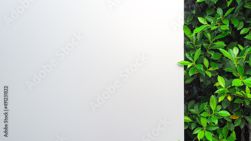 Abstract background of luxury aluminum panels and trees in nature to use as a background for your website or publication.