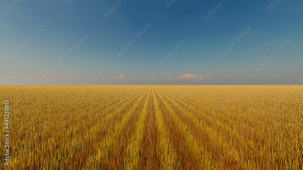 Picturesque landscape clear blue sky and yellow field of grass