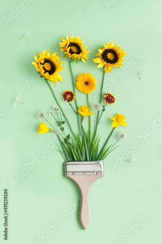 Spring growth cycle concept
