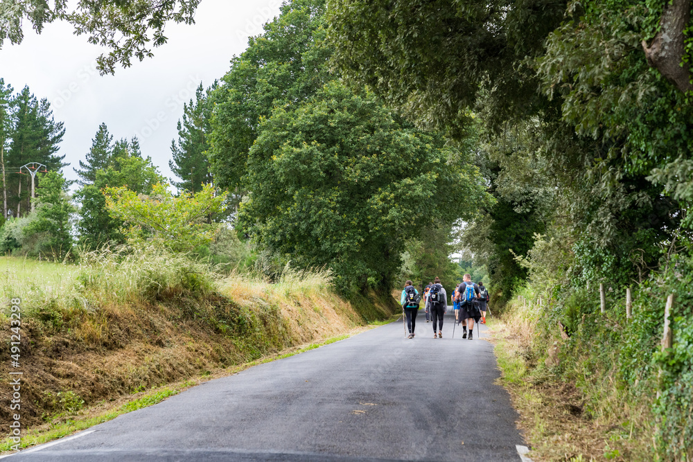 巡礼者　カミーノ　サンティアゴへの道