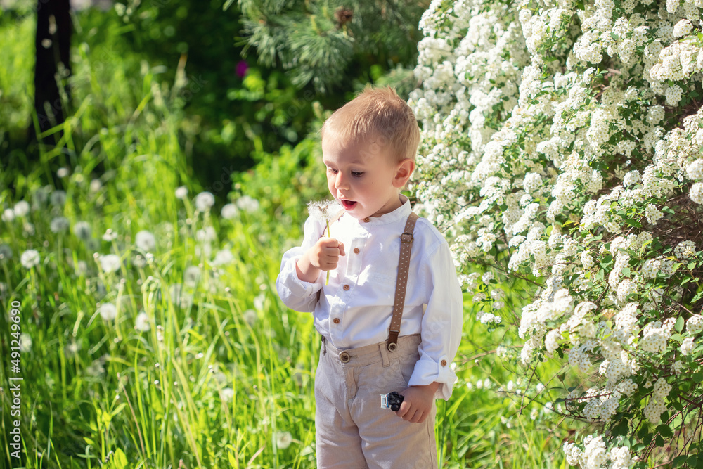 Portrait of cute little boy blowing on dandelions in the park in summer Portrait of cute little boy blowing on dandelions in the park in summer