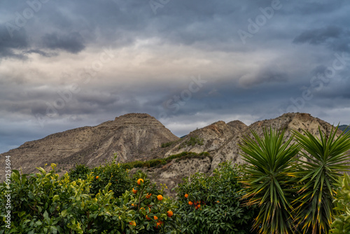 desert mountain landscape in Andalusia under stormy skies with palm trees and orange orchard in the foreground photo