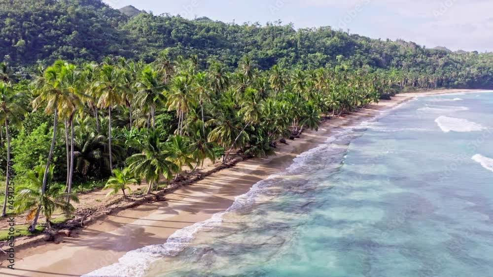 Idyllic island scene with azure water and palm trees on sandy beach; Caribbean Idyllic island scene with azure water and palm trees on sandy beach; Caribbean