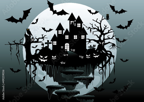 Dracula's Castle at night On a full moon night, hordes of bats, wolves and nocturnal birds create fear.