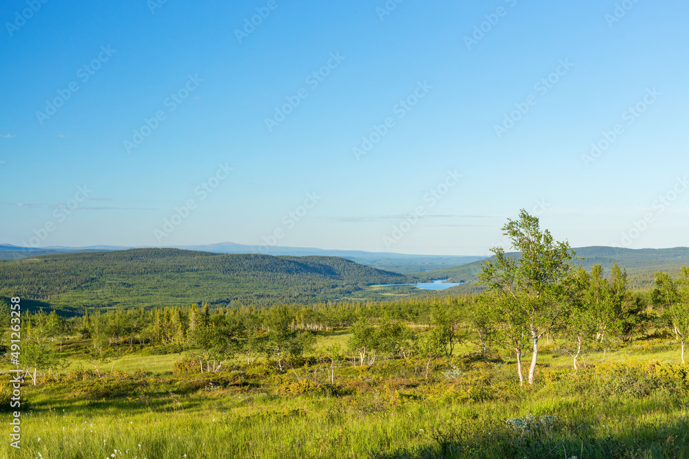 Aerial landscape view in a nordic woodland