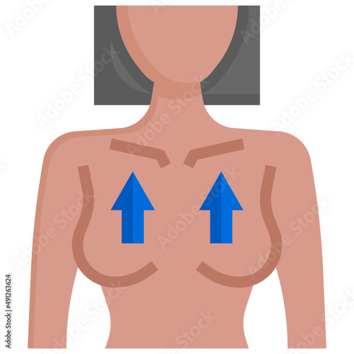 BREAST1 flat icon