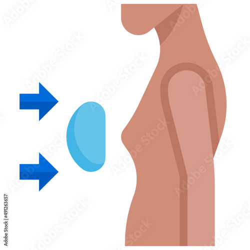 BREAST3 flat icon