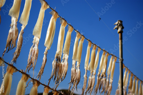 It is a traditional Korean way of hanging squid from a rope and drying it in the sea breeze.