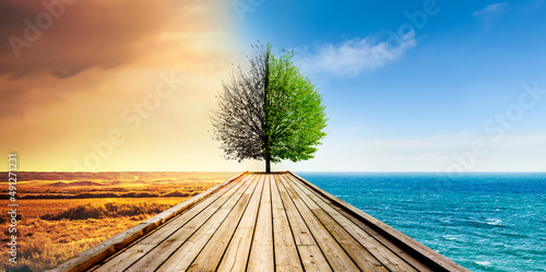 Klimawandel von Dürre zu Fruchtbarer Umwelt