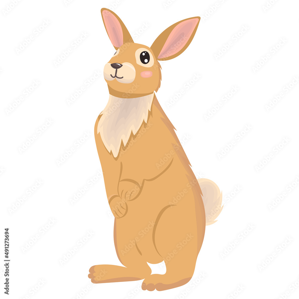 rabbit character flat design, cartoon, isolated vector rabbit character flat design, cartoon, isolated vector