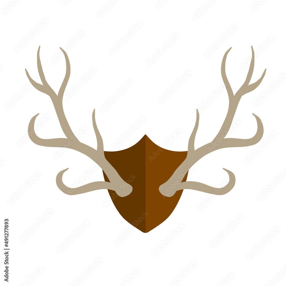 Horn of deer. Hunting trophy. Wall decoration element. Part of the stag animal head Horn of deer. Hunting trophy. Wall decoration element. Part of the stag animal head