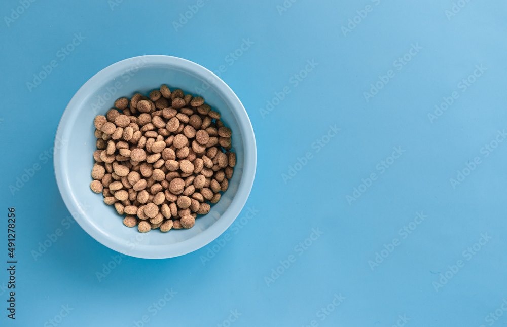 Blue bowl with dry pet food on a blue background. Layout of pet food. Blue bowl with dry pet food on a blue background. Layout of pet food.
