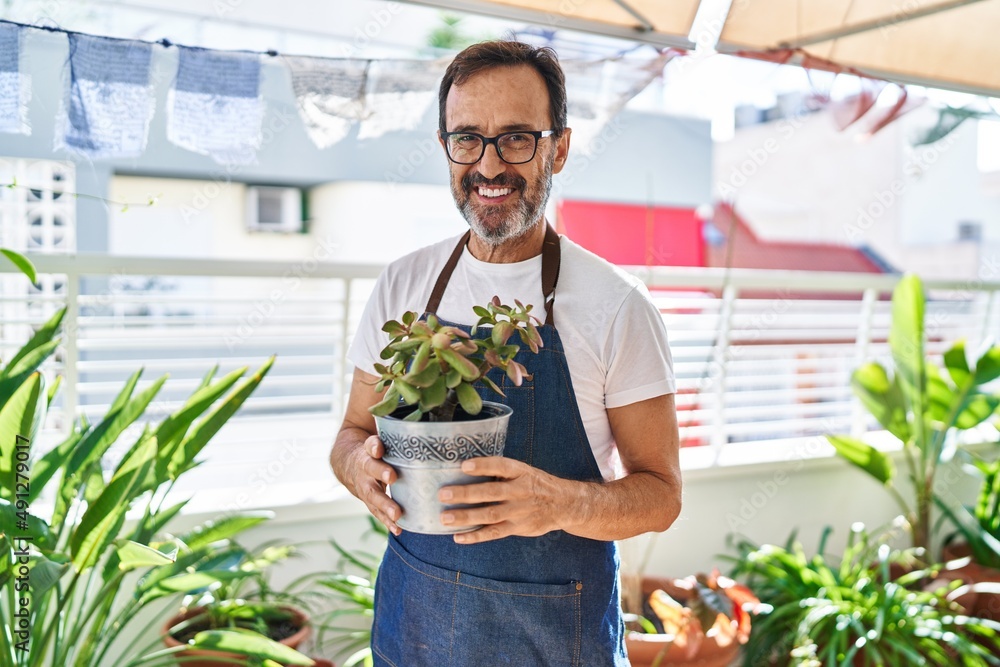 Middle age man smiling confident holding plat pot at terrace home Middle age man smiling confident holding plat pot at terrace home