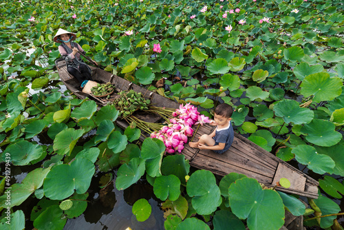 Top view of vietnamese boy playing with mom over the traditional wooden boat when padding for keep the pink lotus in the big lake at thap muoi, dong thap province, vietnam, culture and life concept