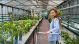 The concept of gardening, planting and shopping. Beautiful woman chooses indoor plants and pots in a greenhouse or garden center. standing with a cart for shopping, looking at the camera. Banner.