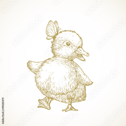 Hand Drawn Cute Easter Duckling Vector Illustration. Little Duck dancing with Butterfly Abstract Sketch. Spring Holiday Engraving Style Drawing Isolated