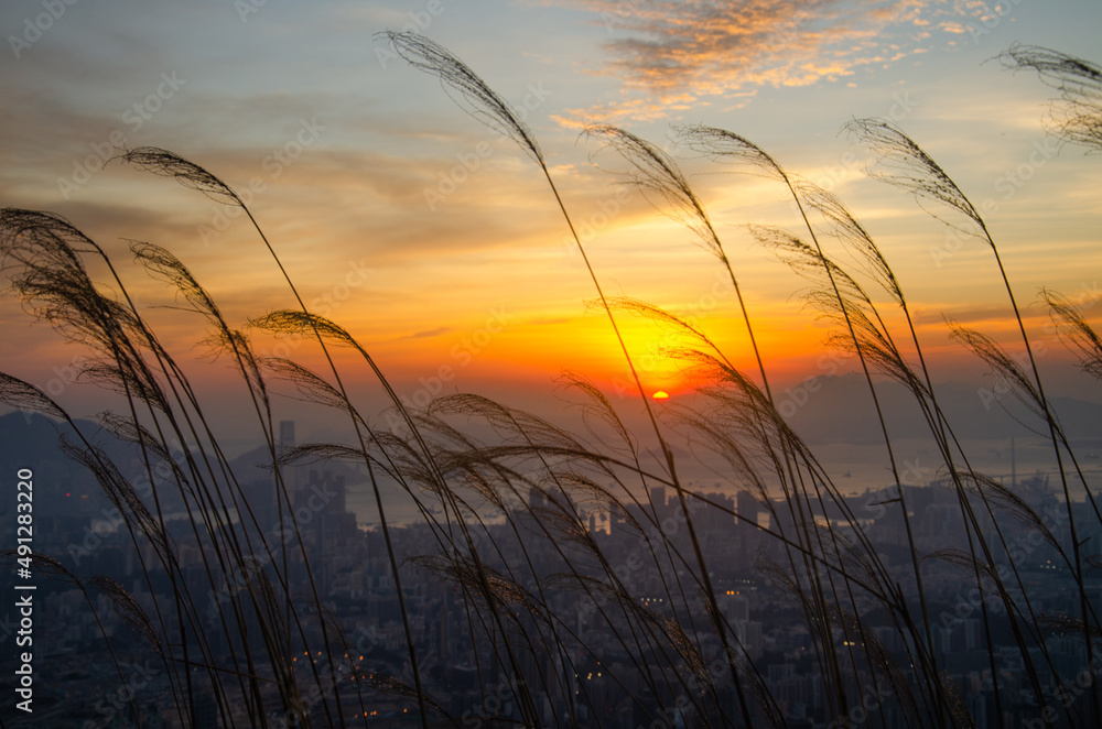 Calm sunset from up the hills